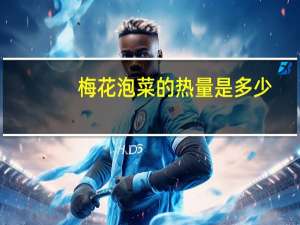 梅花 泡菜的热量是多少