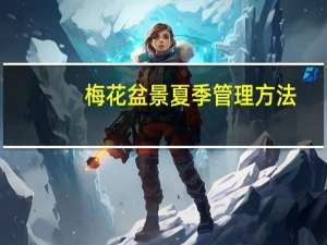 梅花盆景夏季管理方法