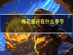 梅花盛开在什么季节