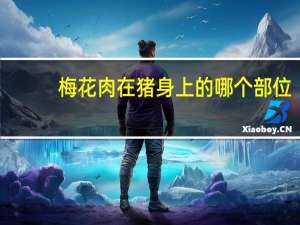 梅花肉在猪身上的哪个部位