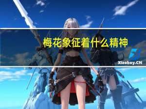 梅花象征着什么精神？