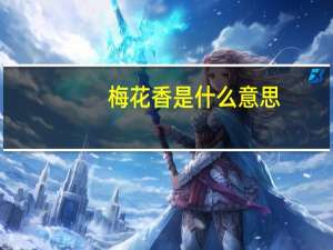 梅花香是什么意思