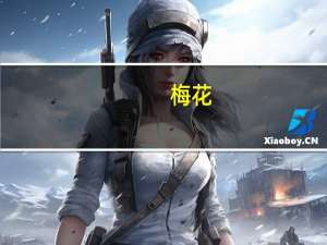 梅花（关于梅花的介绍）