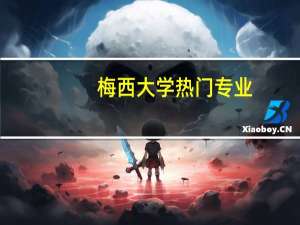 梅西大学热门专业