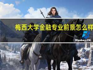 梅西大学金融专业前景怎么样