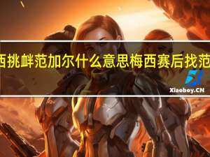 梅西挑衅范加尔什么意思 梅西赛后找范加尔理论