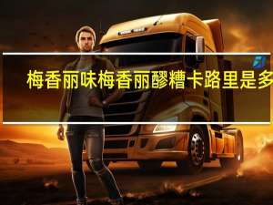 梅香丽味  梅香丽 醪糟卡路里是多少