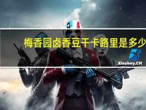 梅香园 卤香豆干卡路里是多少