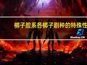 梆子腔系各梆子剧种的特殊性