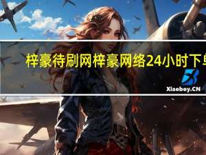梓豪待刷网 梓豪网络24小时下单(梓豪这两字包含什么含义)