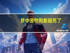 梦中宠物狗断腿死了
