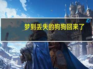 梦到丢失的狗狗回来了