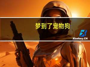 梦到了宠物狗