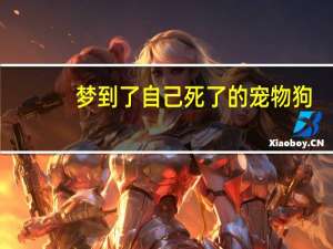 梦到了自己死了的宠物狗