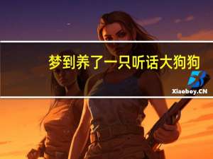 梦到养了一只听话大狗狗