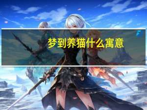 梦到养猫什么寓意