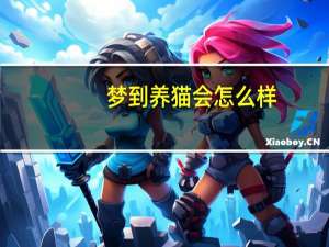 梦到养猫会怎么样