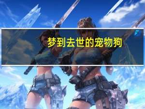 梦到去世的宠物狗