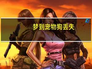 梦到宠物狗丢失