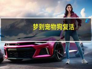 梦到宠物狗复活