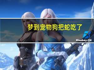 梦到宠物狗把蛇吃了