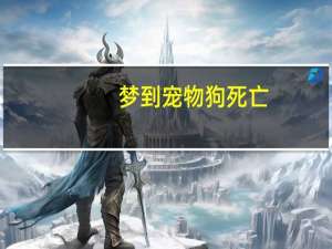 梦到宠物狗死亡