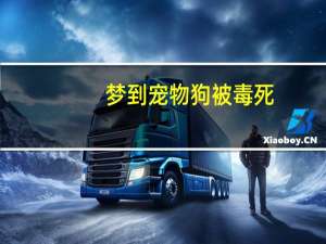梦到宠物狗被毒死