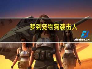 梦到宠物狗袭击人