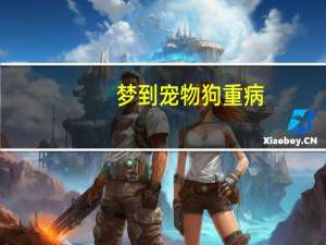 梦到宠物狗重病