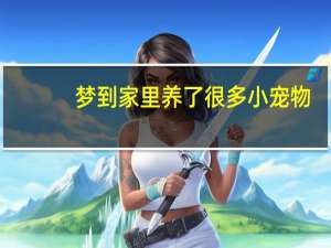 梦到家里养了很多小宠物
