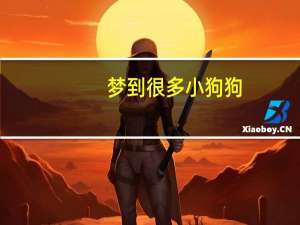 梦到很多小狗狗