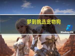 梦到挑选宠物狗