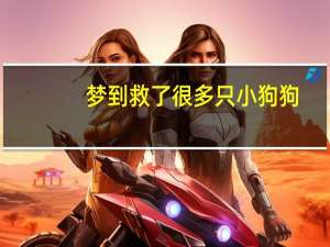 梦到救了很多只小狗狗