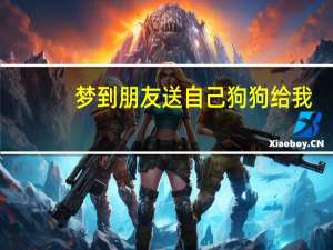 梦到朋友送自己狗狗给我