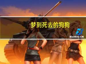 梦到死去的狗狗