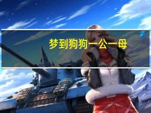 梦到狗狗一公一母