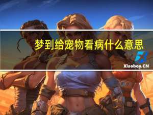 梦到给宠物看病什么意思