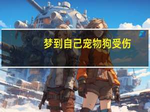 梦到自己宠物狗受伤