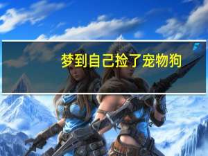 梦到自己捡了宠物狗