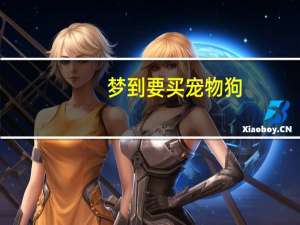 梦到要买宠物狗