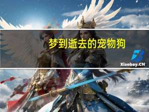 梦到逝去的宠物狗