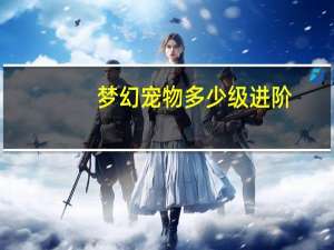 梦幻宠物多少级进阶