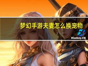 梦幻手游夫妻怎么换宠物