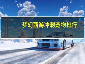 梦幻西游冲刺宠物排行