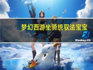 梦幻西游坐骑统驭法宝宝（梦幻西游坐骑统驭）