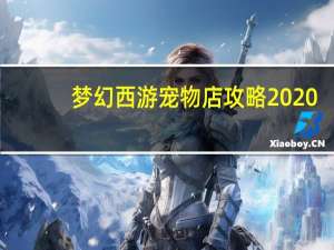 梦幻西游宠物店攻略2020（梦幻西游开宠物店攻略）