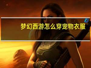 梦幻西游怎么穿宠物衣服