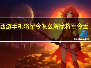 梦幻西游手机将军令怎么解除 将军令丢了怎么解绑