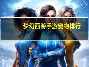 梦幻西游手游宠物排行