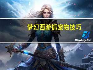 梦幻西游抓宠物技巧